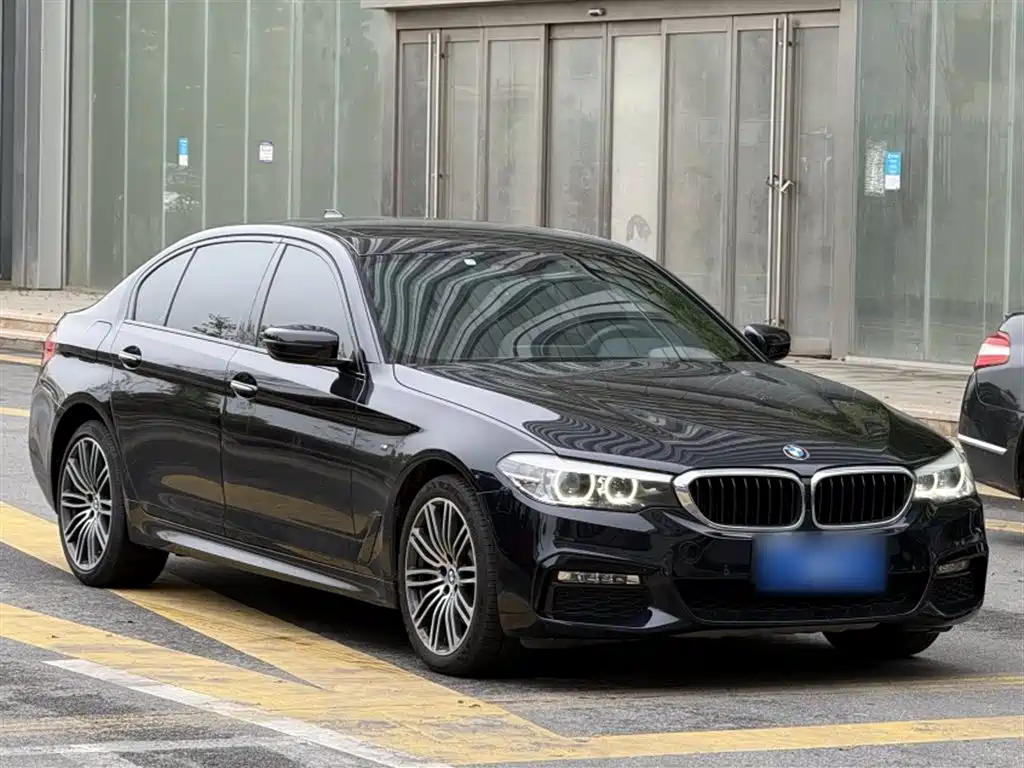 BMW 5 Series 2018 Facelift 530Li xDrive M Sport Package фото 24