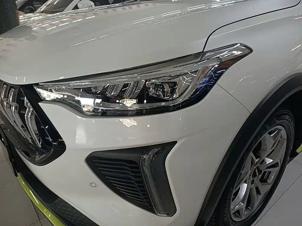 Haval Chitu 2022 2022 Power Edition 1.5T Purple Copper Rabbit