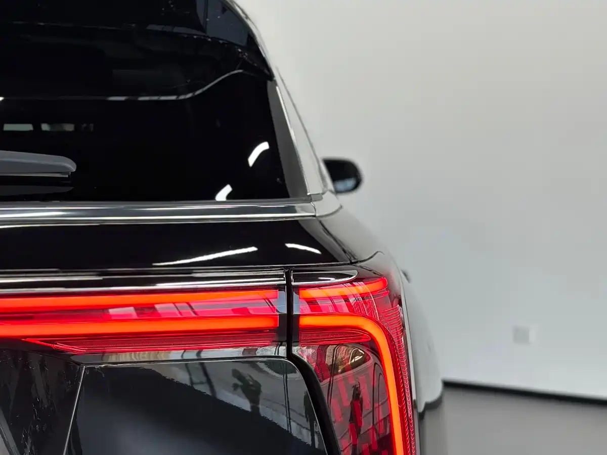 Hongqi E-HS9 2022 660km Qi Chang Edition (6-seater) фото 22