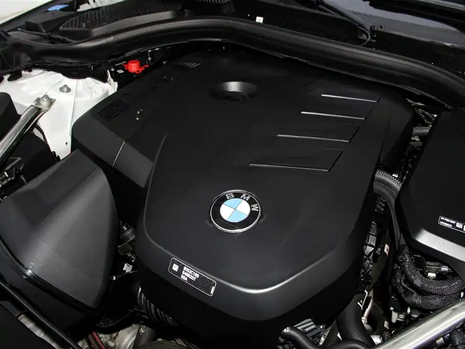 BMW 5 Series 2024 530Li Leading M Sport Package фото 12