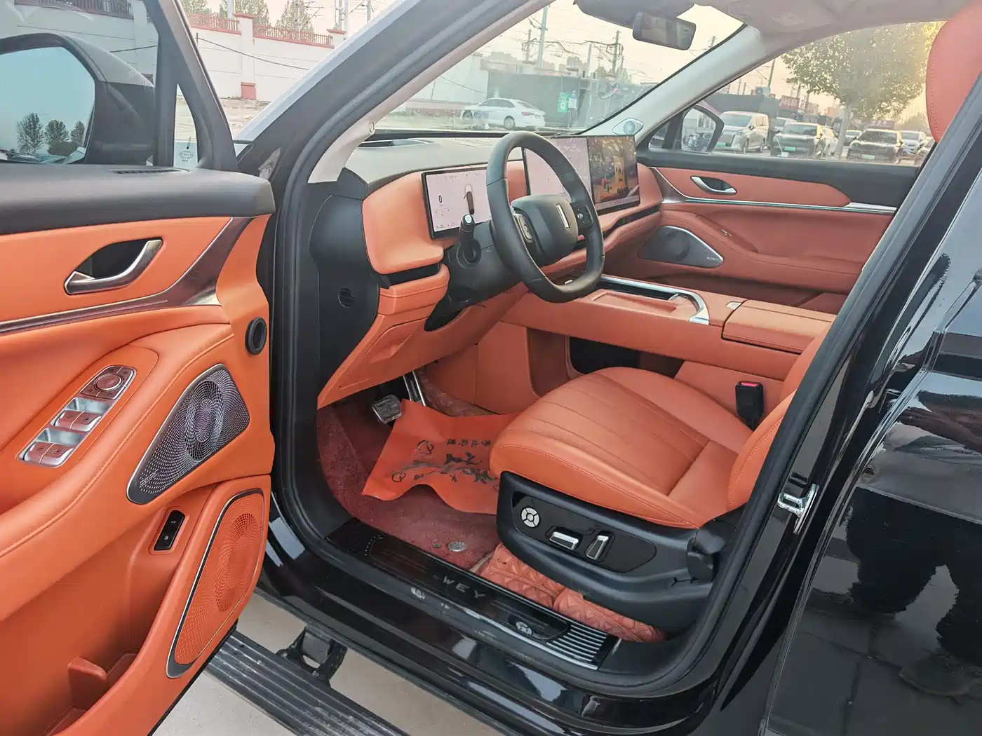 WEI PAI WEI BRAND BLUE MOUNTAIN