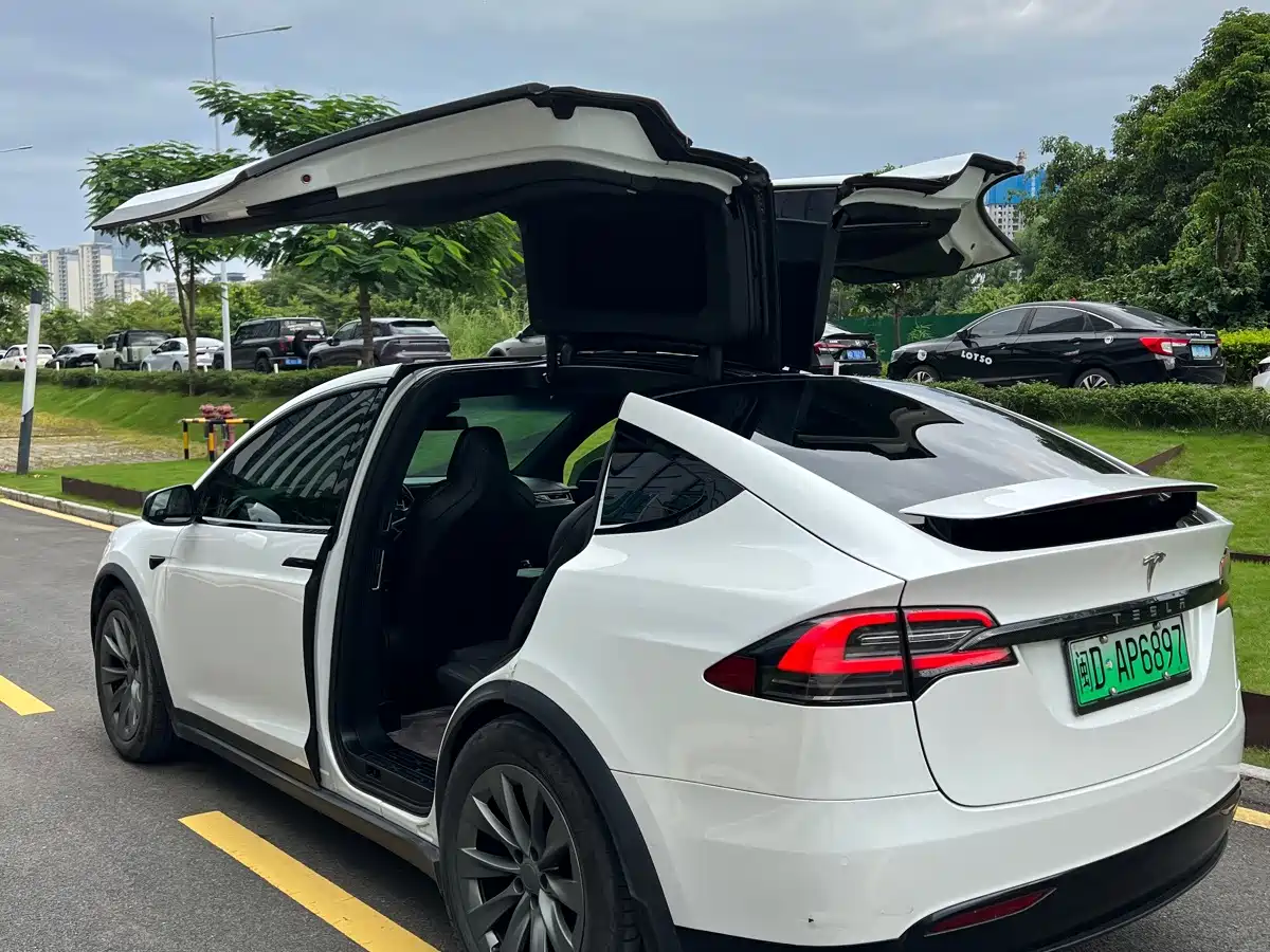 Tesla Model X 2017 2017 Model X 100D Long Range