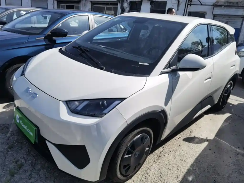 BYD Seagull 2025 Smart Drive Edition 305km Vitality Version