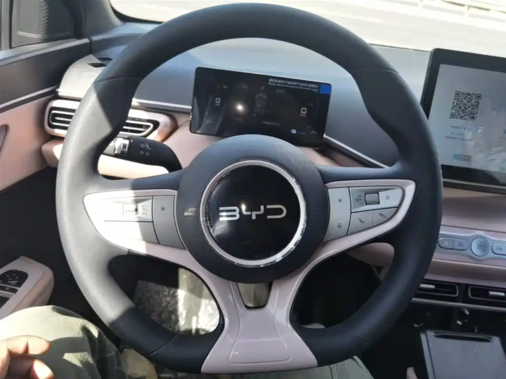 BYD Seagull 2025 Smart Drive Edition 305km Vitality Version фото 11