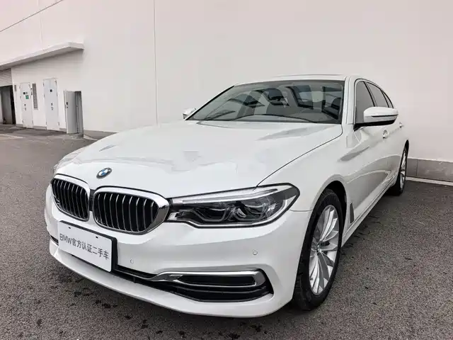 BMW 5 Series 2020 530Li Leading Luxury Package
