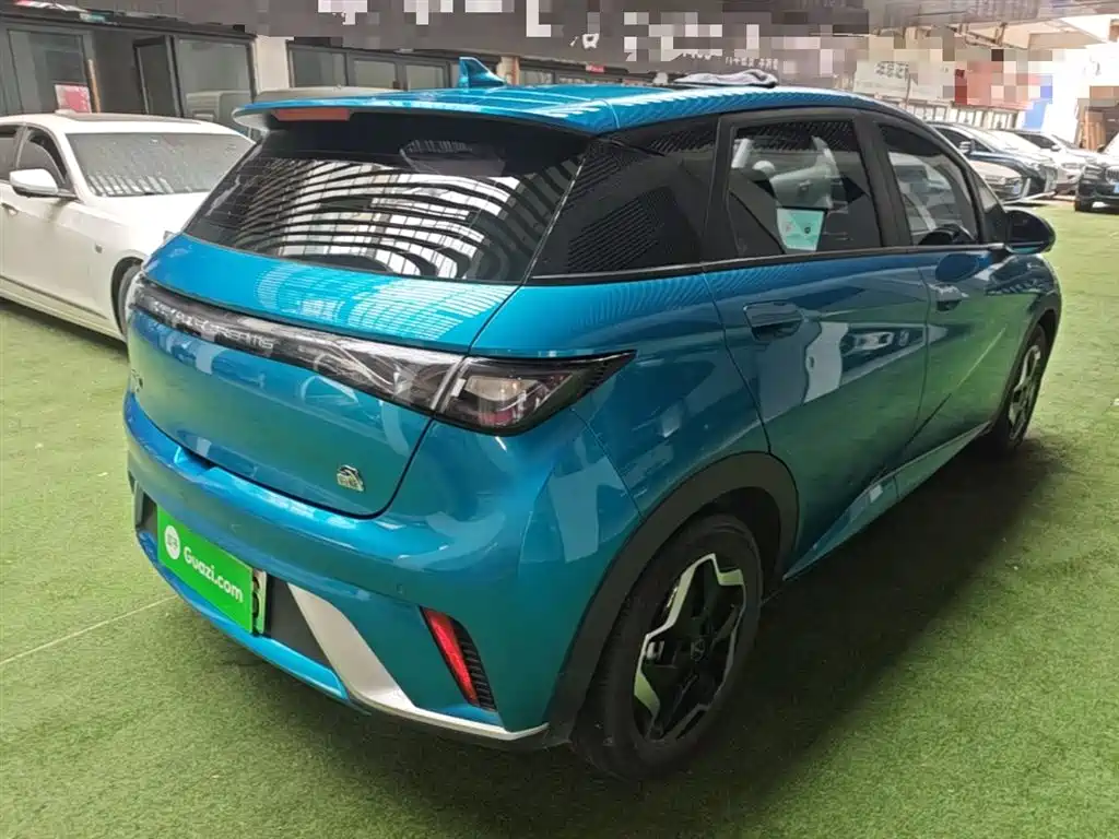 BYD Dolphin 2021 Model 405km Fashion Edition фото 7