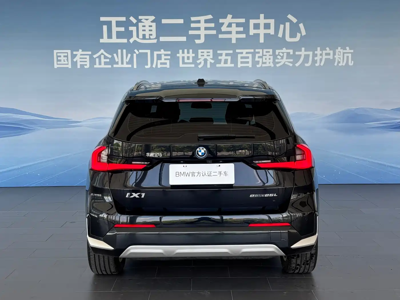 BMW iX1 2025 2025 eDrive25L X Design Package