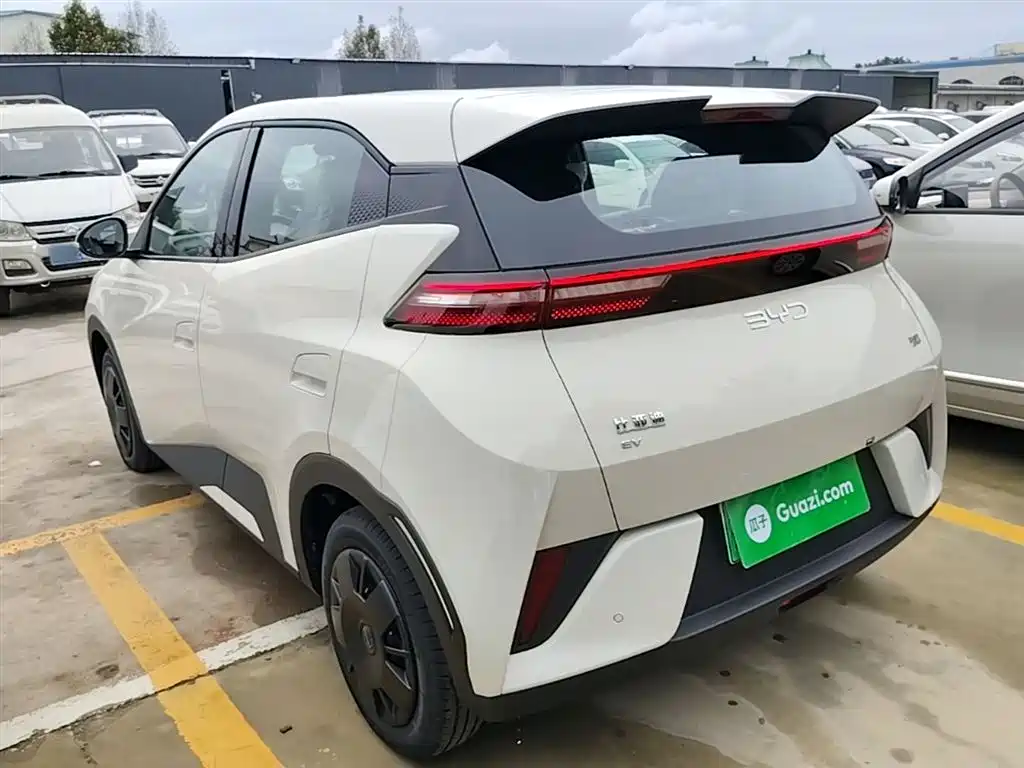 BYD Seagull 2025 Smart Drive Edition 305km Vitality Version фото 5