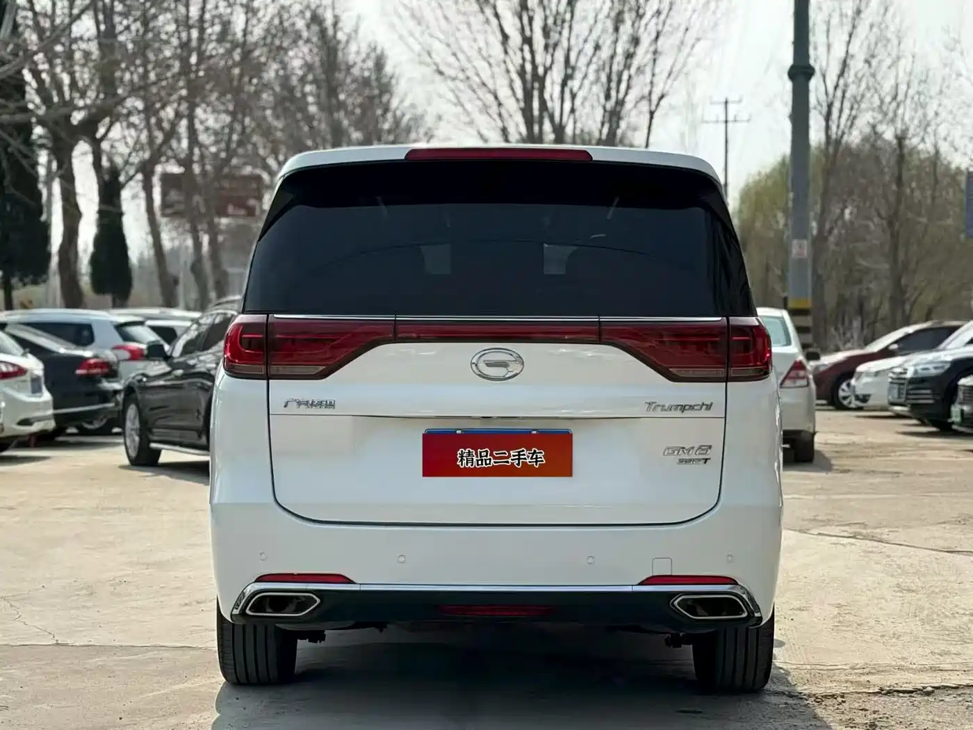 GAC Trumpchi Trumpchi M8 2020 390T Prestige фото 5