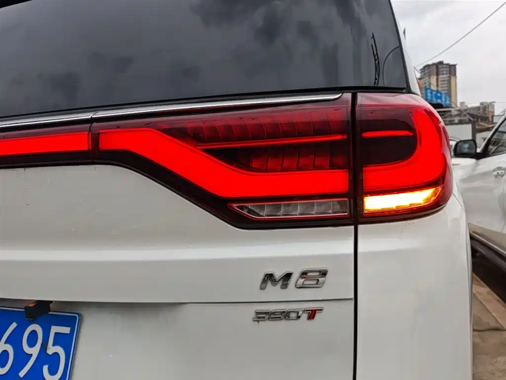GAC Trumpchi Trumpchi M8 2021 Leading Show Series 390T Ultimate Edition фото 24