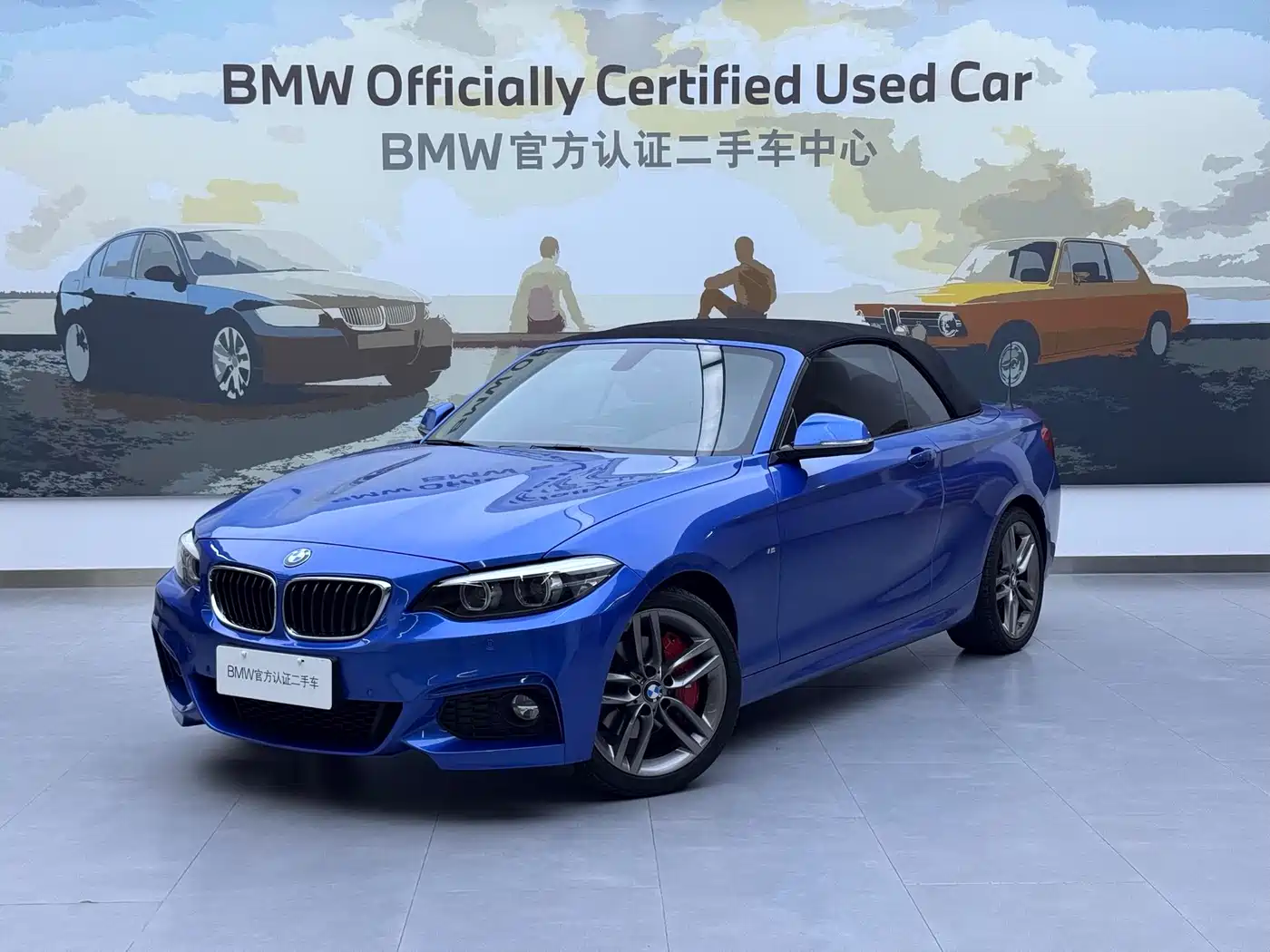 BMW 2 Series (Import) 2018 225i Convertible Coupe M Sport фото 2