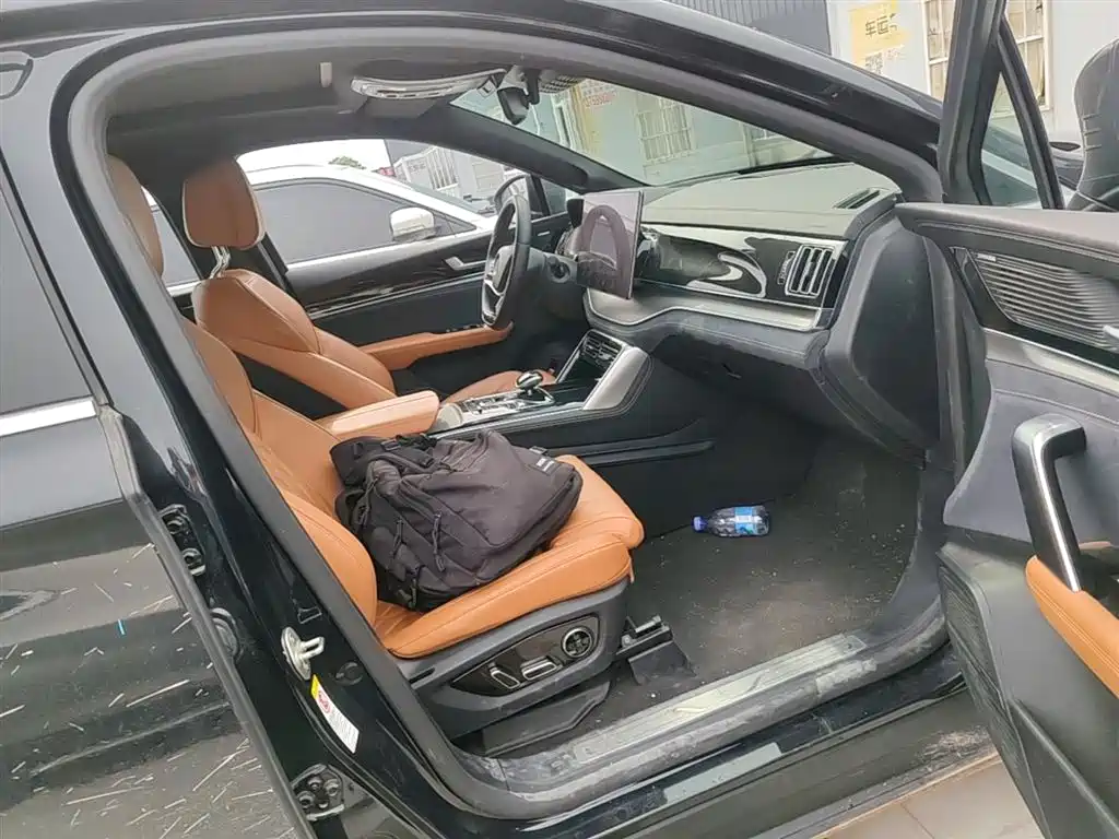 BYD Tang New Energy 2022 EV 730KM Premium фото 20
