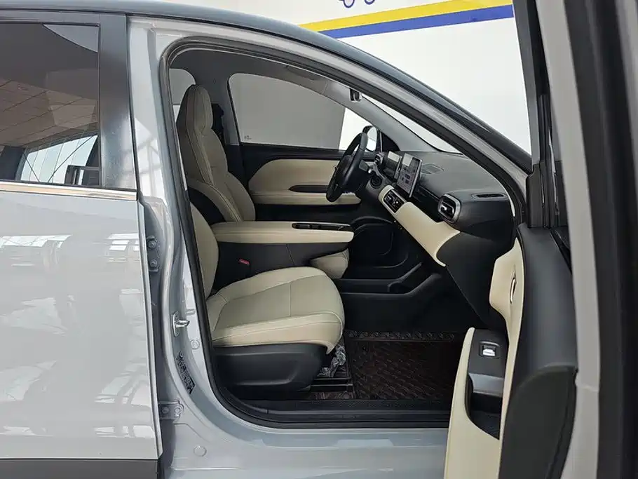 Wuling Motors Wuling Binguo PLUS 2025 2024 Model 330km 5-Seater