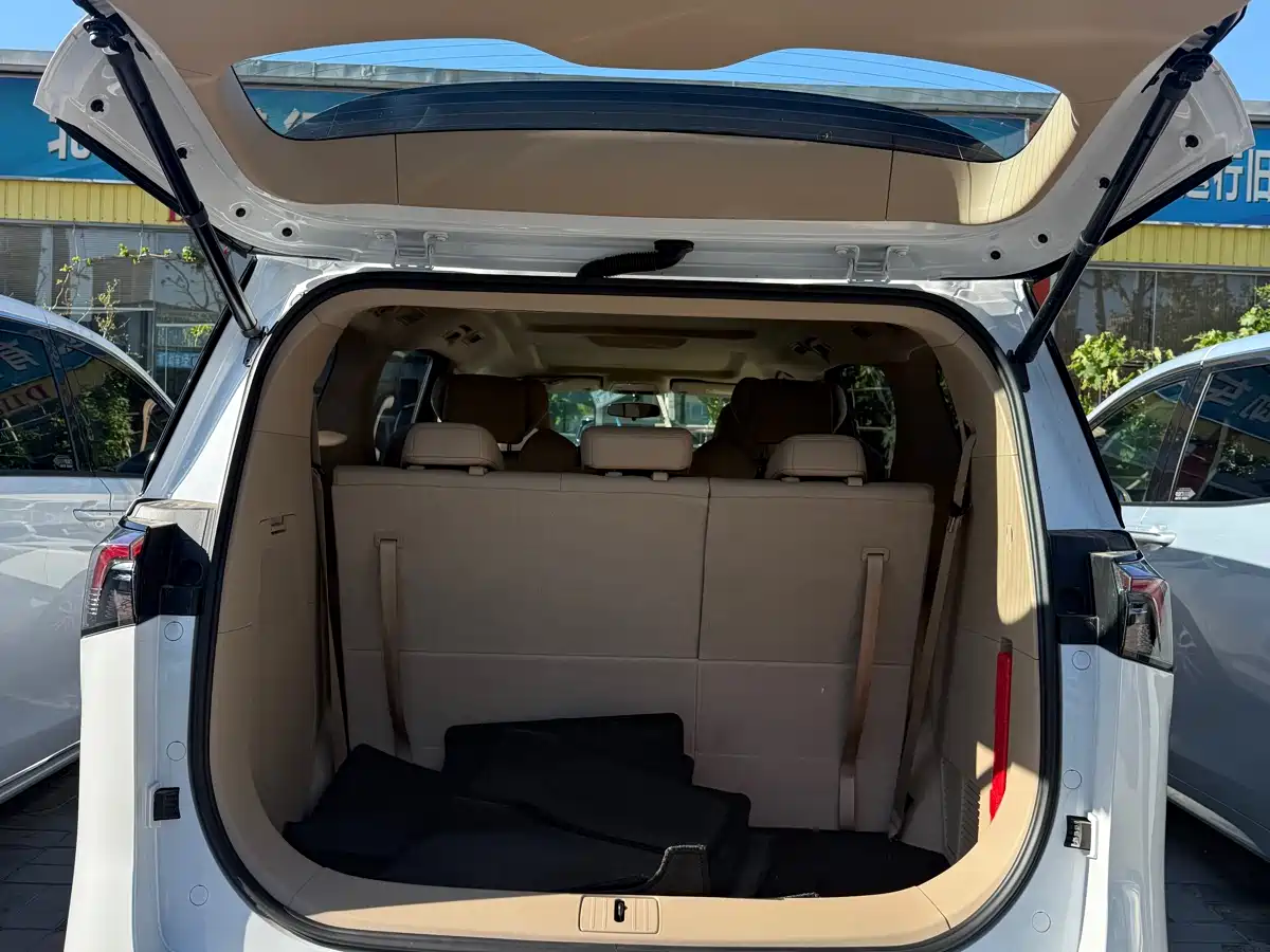 Buick GL8 2025 Land Business Class Comfort DG Edition фото 11