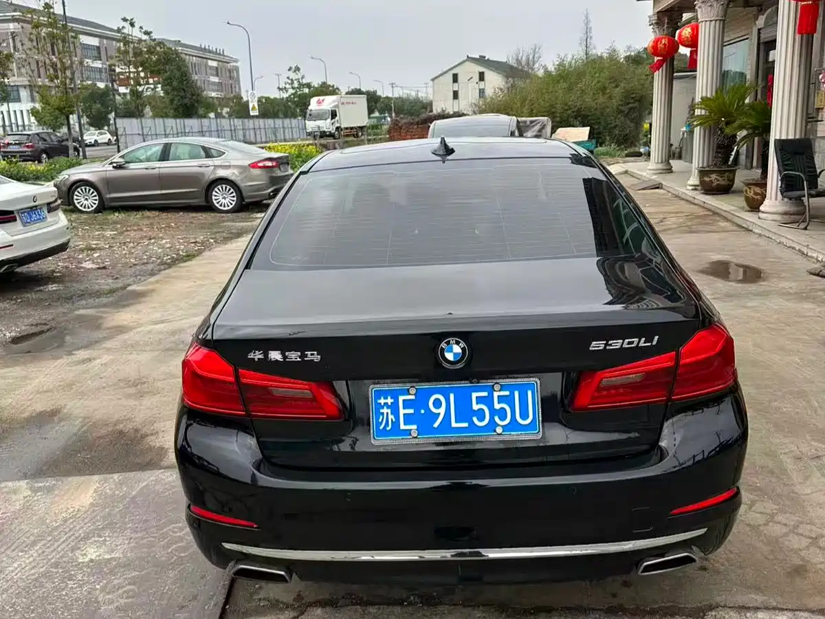 BMW 5 Series 2020 530Li Leading Luxury Package фото 5