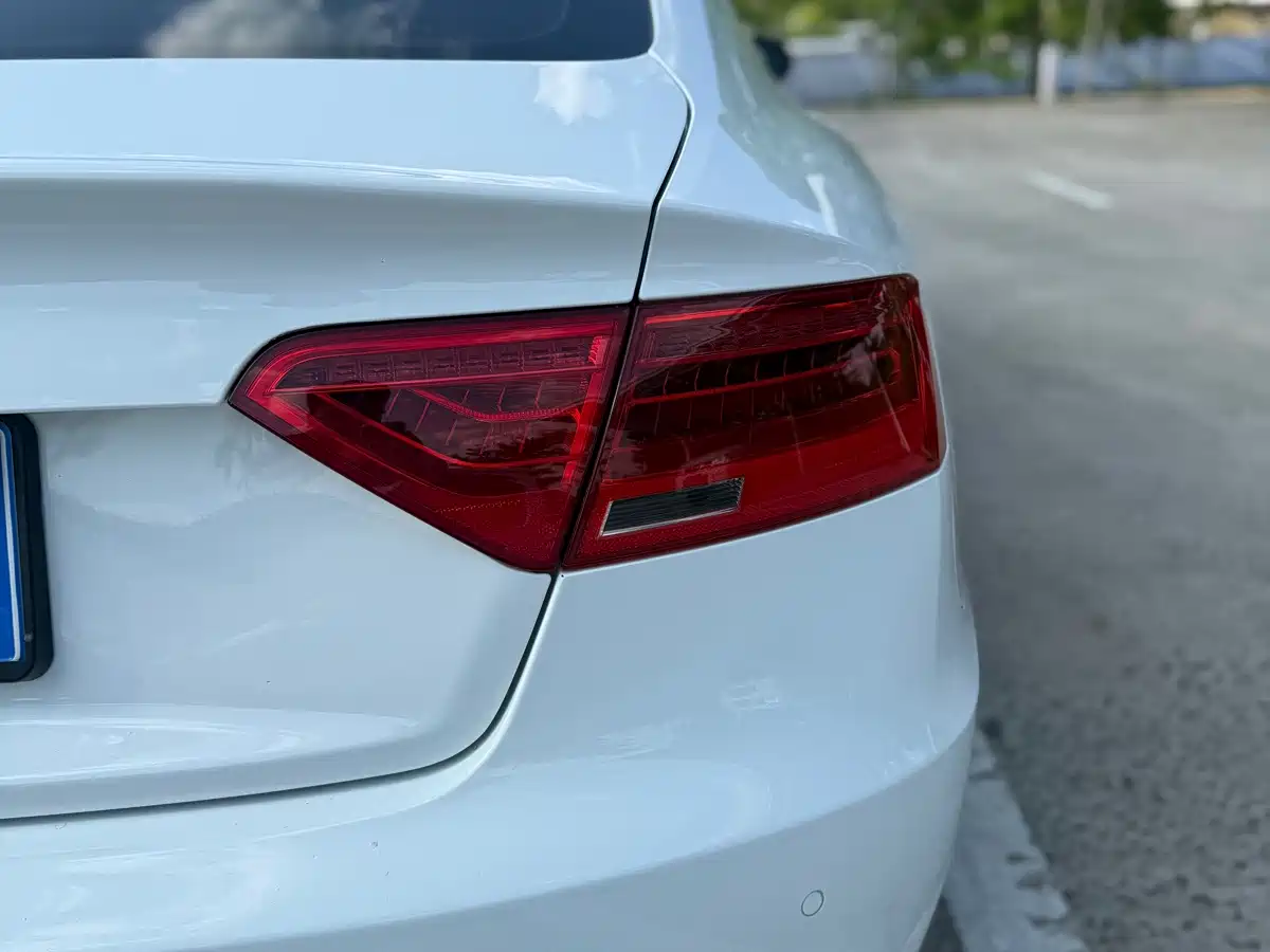 Фото 11 - Audi A5 (Import)