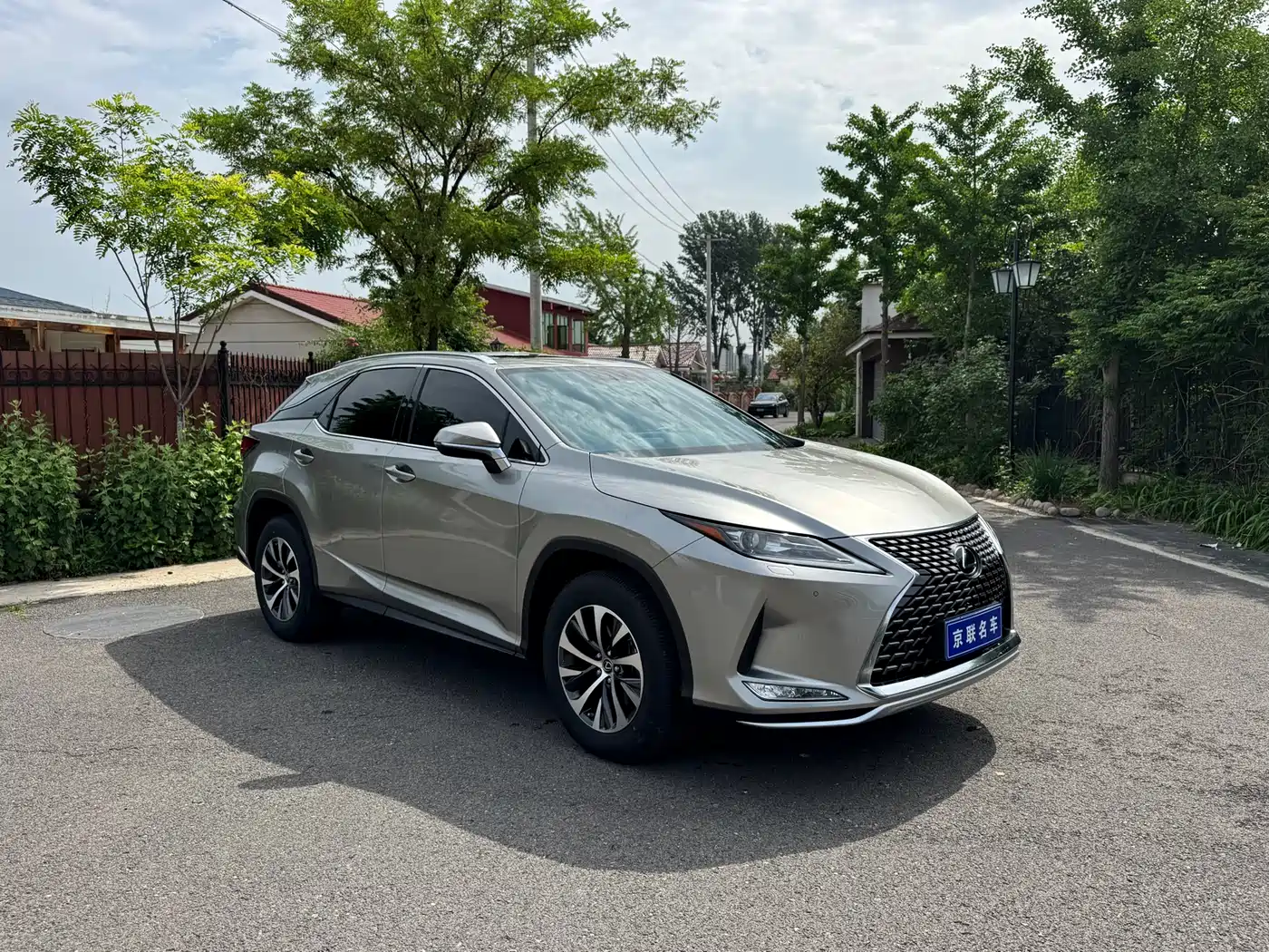 LEXUS RX