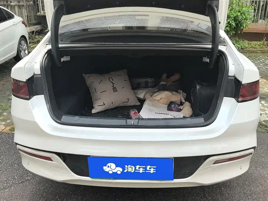 BYD Qin PLUS 2021 DM-i 120KM Premium фото 4