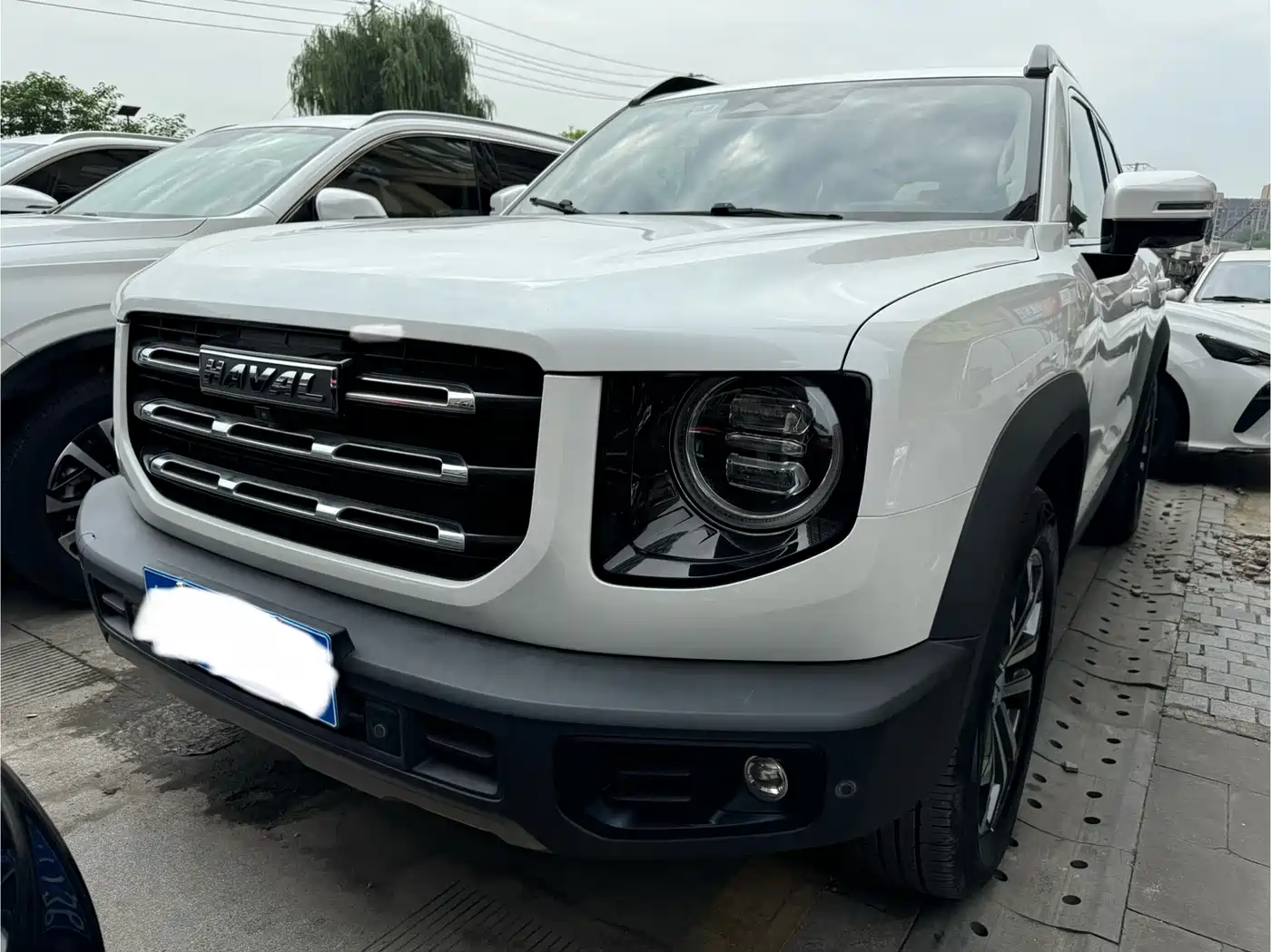 Haval Big Dog 2021 1.5T DCT 2WD Border Collie Edition
