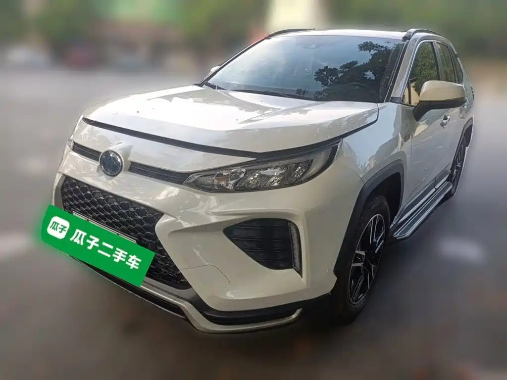 Toyota Wildlander New Energy 2021