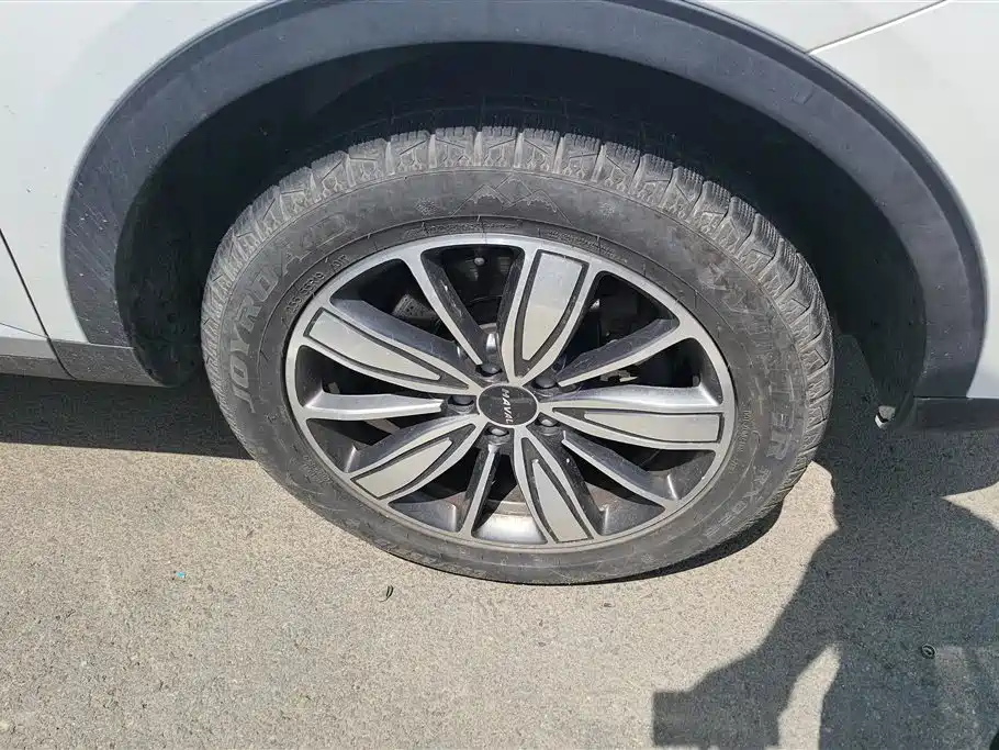 Haval H6 2020 1.5GDIT Automatic Platinum Champion Edition фото 6
