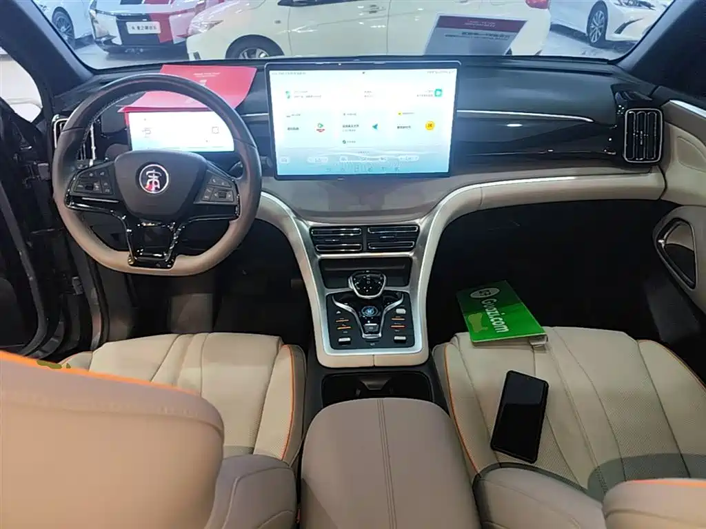 BYD Song Pro New Energy 2023 Champion Edition DM-i 110KM Excellence фото 10