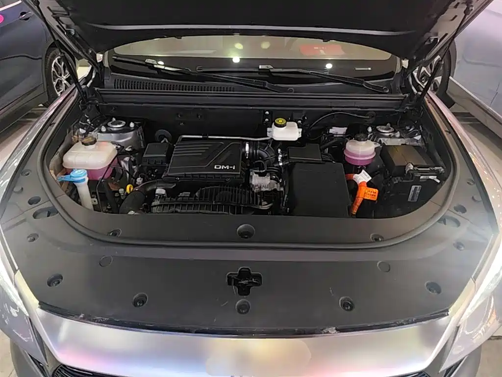 BYD Song Pro New Energy 2023 Champion Edition DM-i 110KM Excellence фото 20
