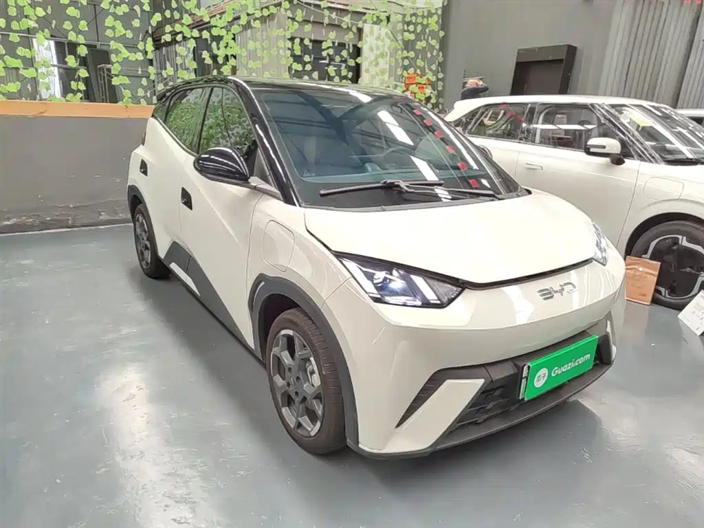 BYD Seagull 2024 Glory Edition 305km Freedom Edition фото 4