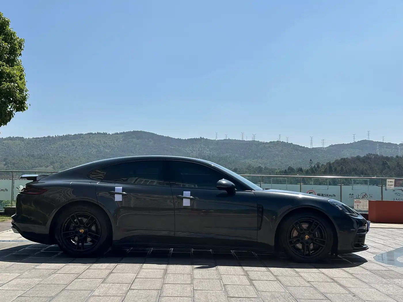 Porsche Panamera 2017 Panamera 3.0T фото 4