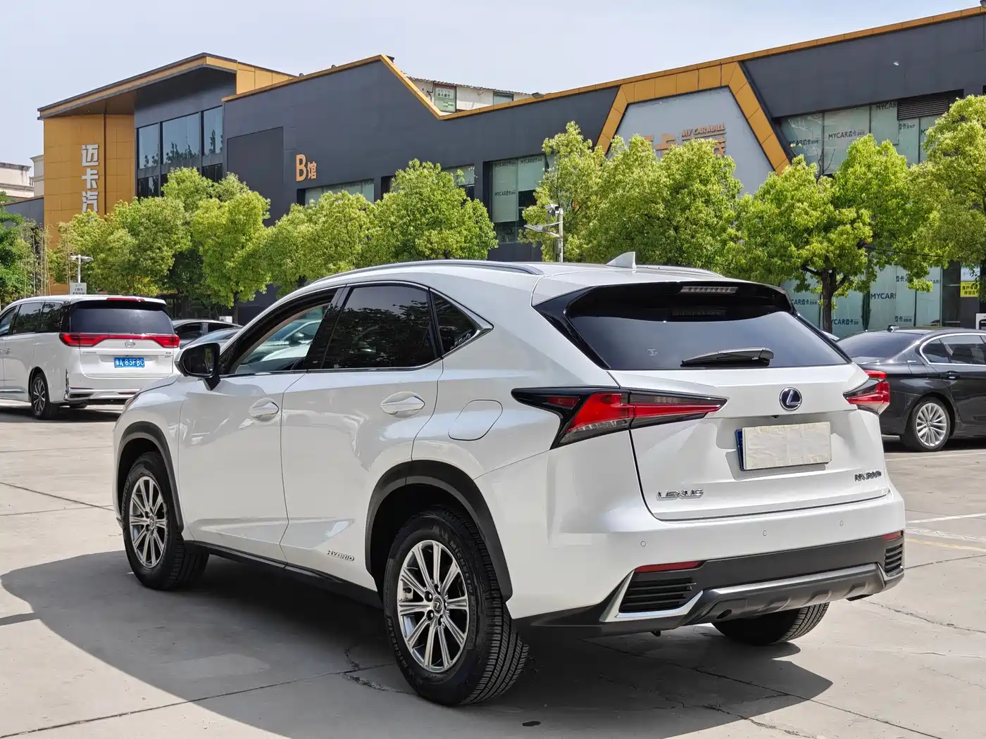 Lexus NX 2020 300h FWD F Sport China V фото 7