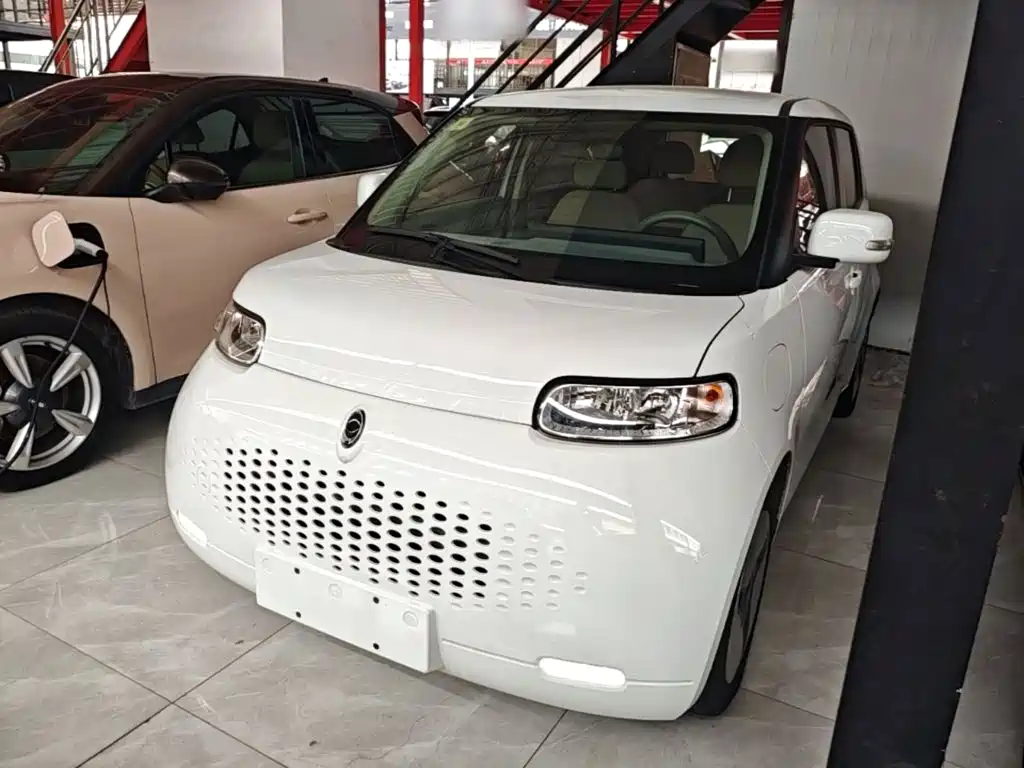Ora White Cat 2020 360km Luxury Model