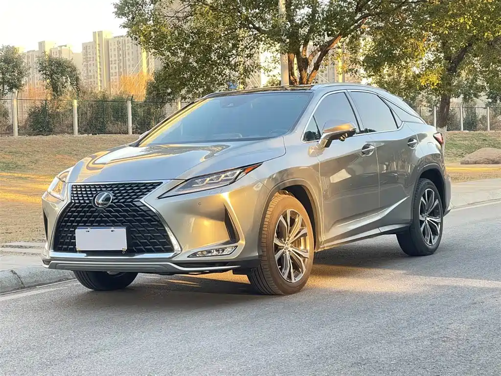 Lexus RX 2020 300 4WD Elegance Edition China VI фото 2