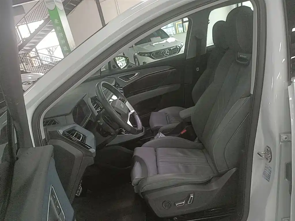 Audi Q5 e-tron 2022 40 e-tron Starlight Edition Brocade Package фото 15
