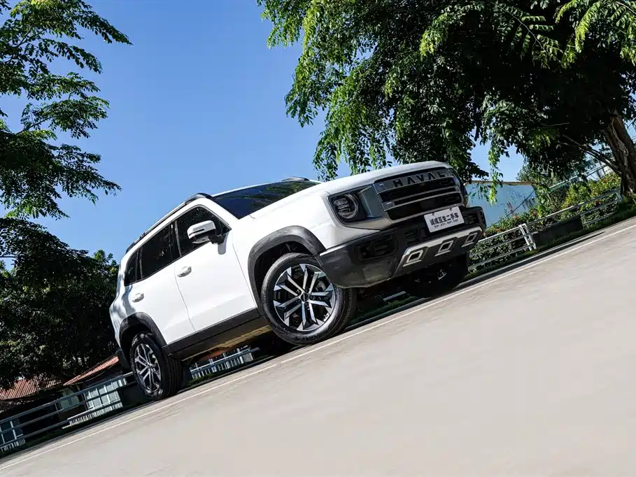 Haval Big Dog 2024 Model 1.5T DCT Labrador Edition фото 4