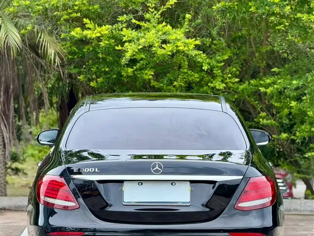 Mercedes-Benz E-Class 2020 E 300 L Luxury Model фото 5