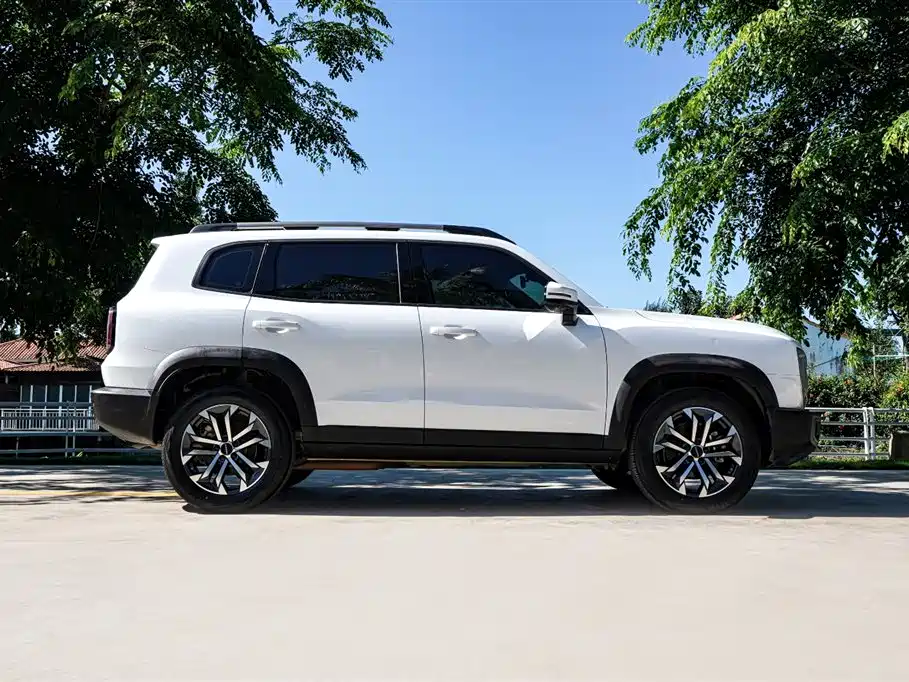 Haval Big Dog 2024 Model 1.5T DCT Labrador Edition фото 5
