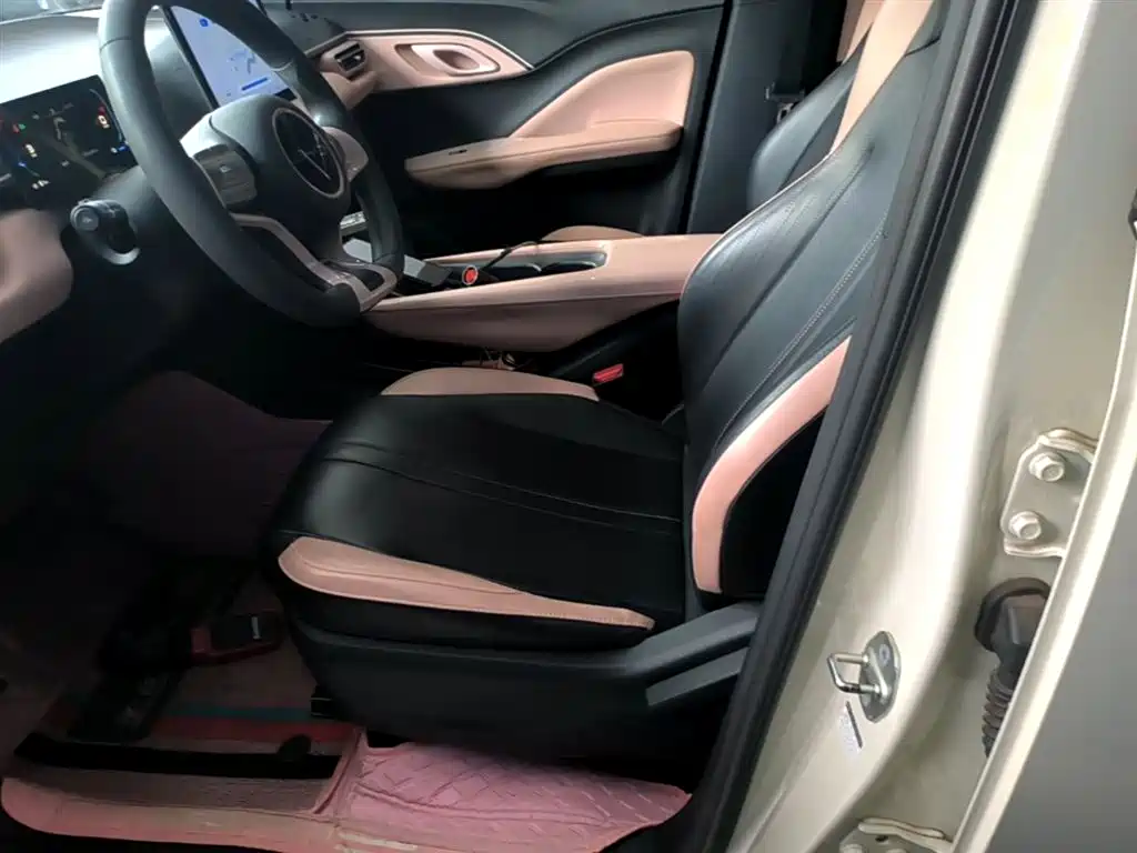 BYD Seagull 2023 Vitality Edition фото 15