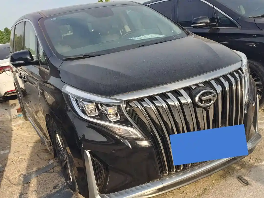 GAC Trumpchi Trumpchi M8 2021 Master Series 390T Prestige Edition фото 3