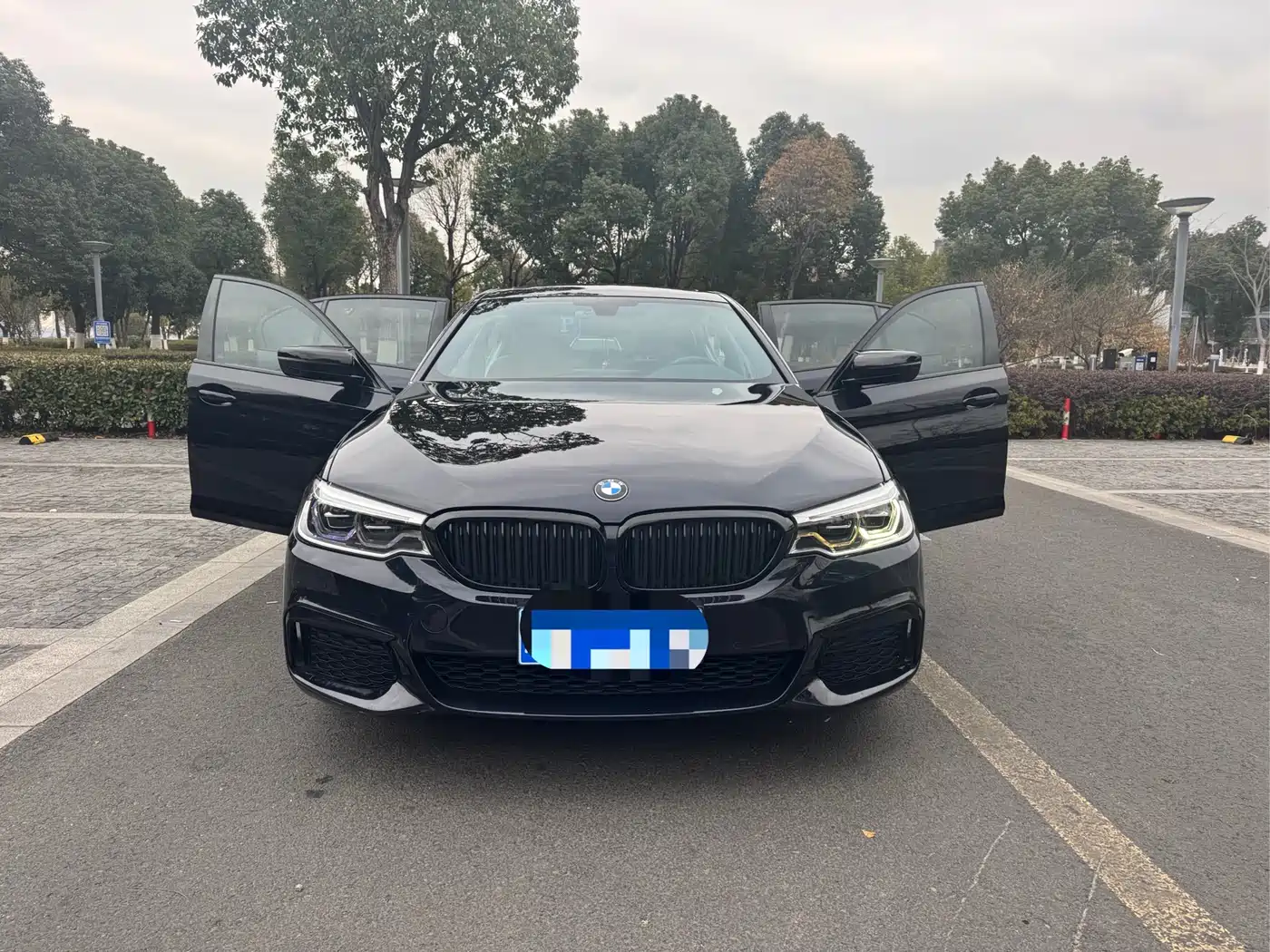 BMW 5 Series 2020 530Li Leading M Sport Package фото 2