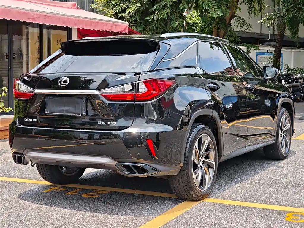 LEXUS RX