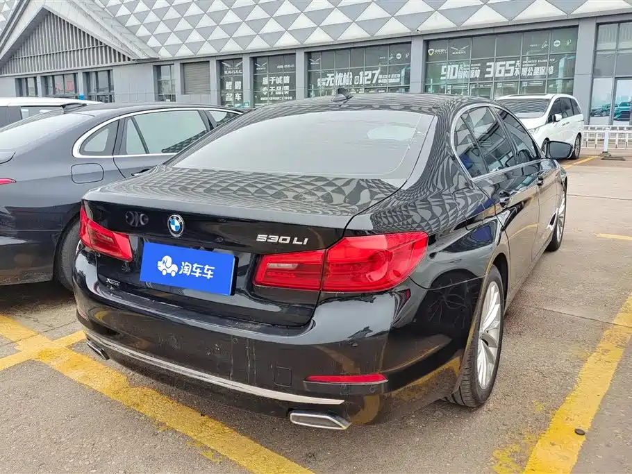 BMW 5 Series 2020 530Li xDrive Luxury Package фото 3