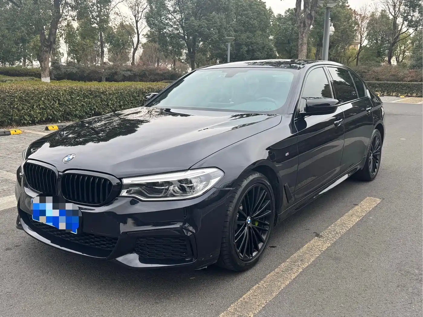 BMW 5 Series 2020 530Li Leading M Sport Package