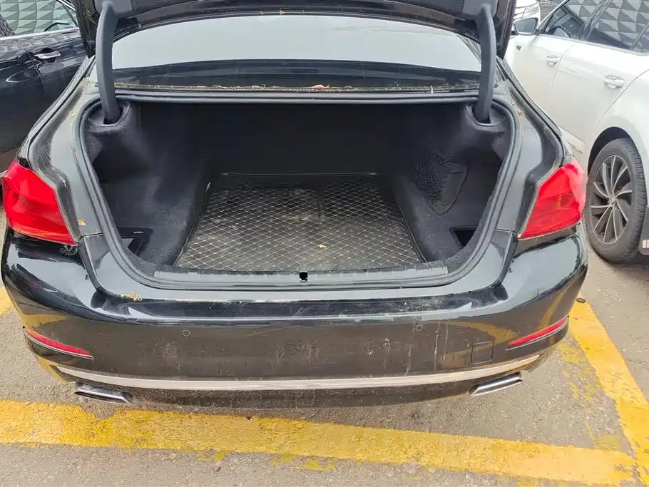 BMW 5 Series 2020 530Li xDrive Luxury Package фото 4