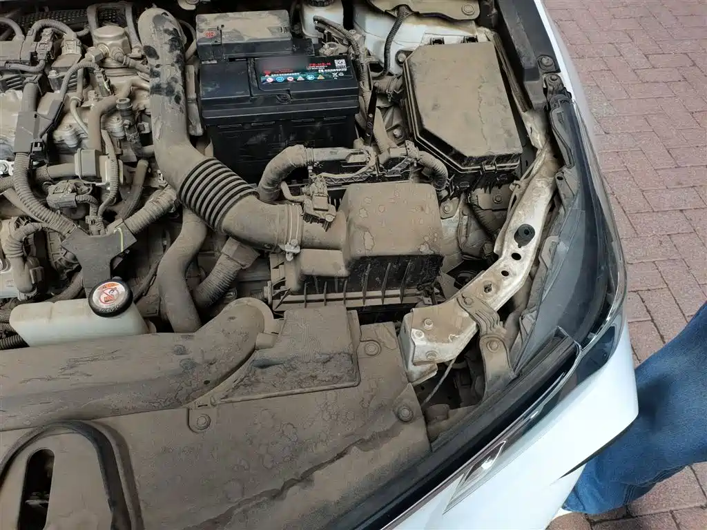 Toyota Corolla 2019 1.2T S-CVT GL-i Elite Edition фото 22