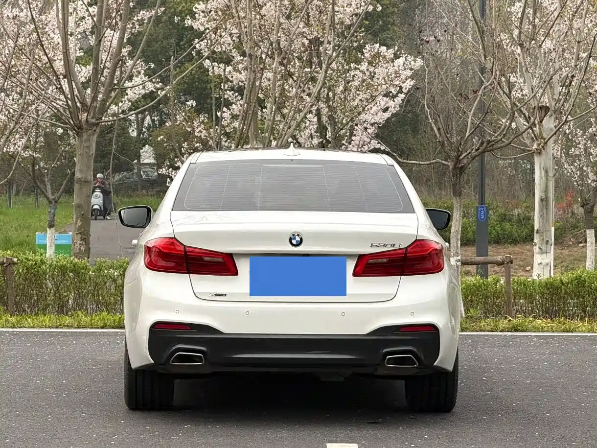 BMW 5 Series 2020 Model 530Li xDrive M Sport Package фото 4