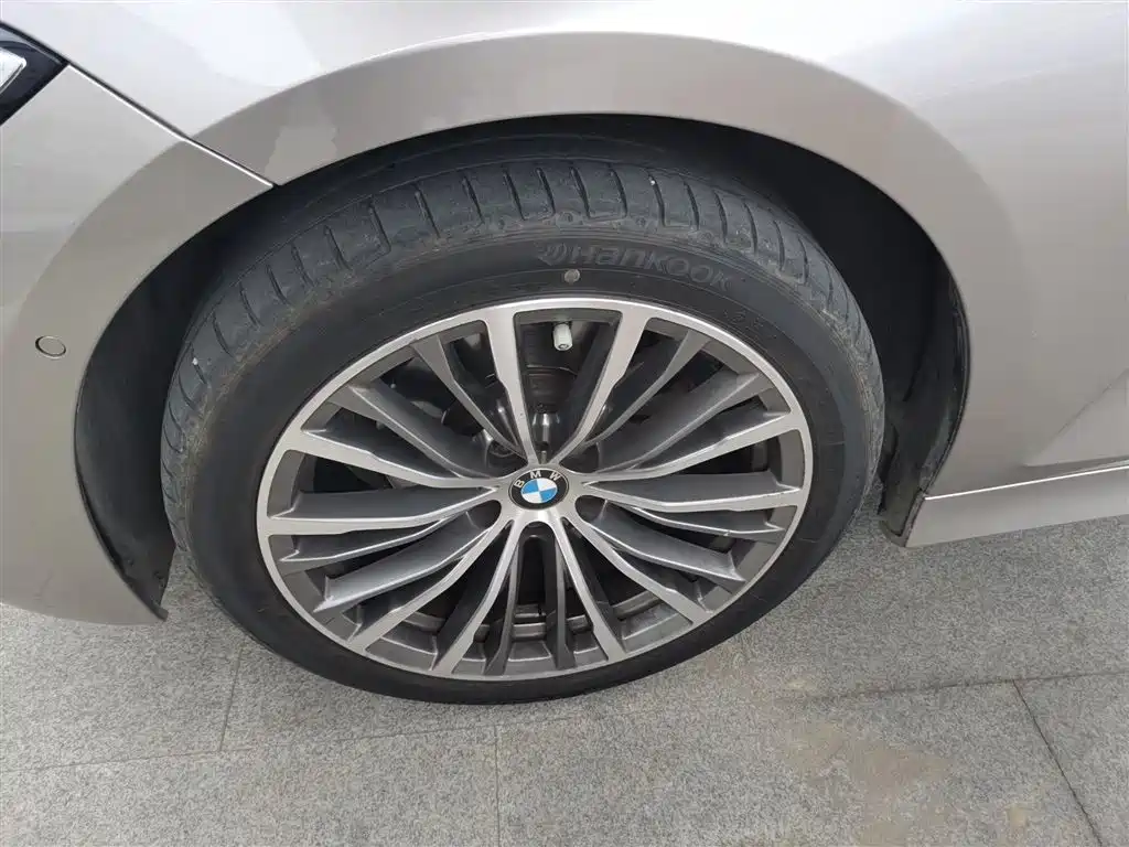 BMW 3 Series 2020 325Li Launch Edition фото 23