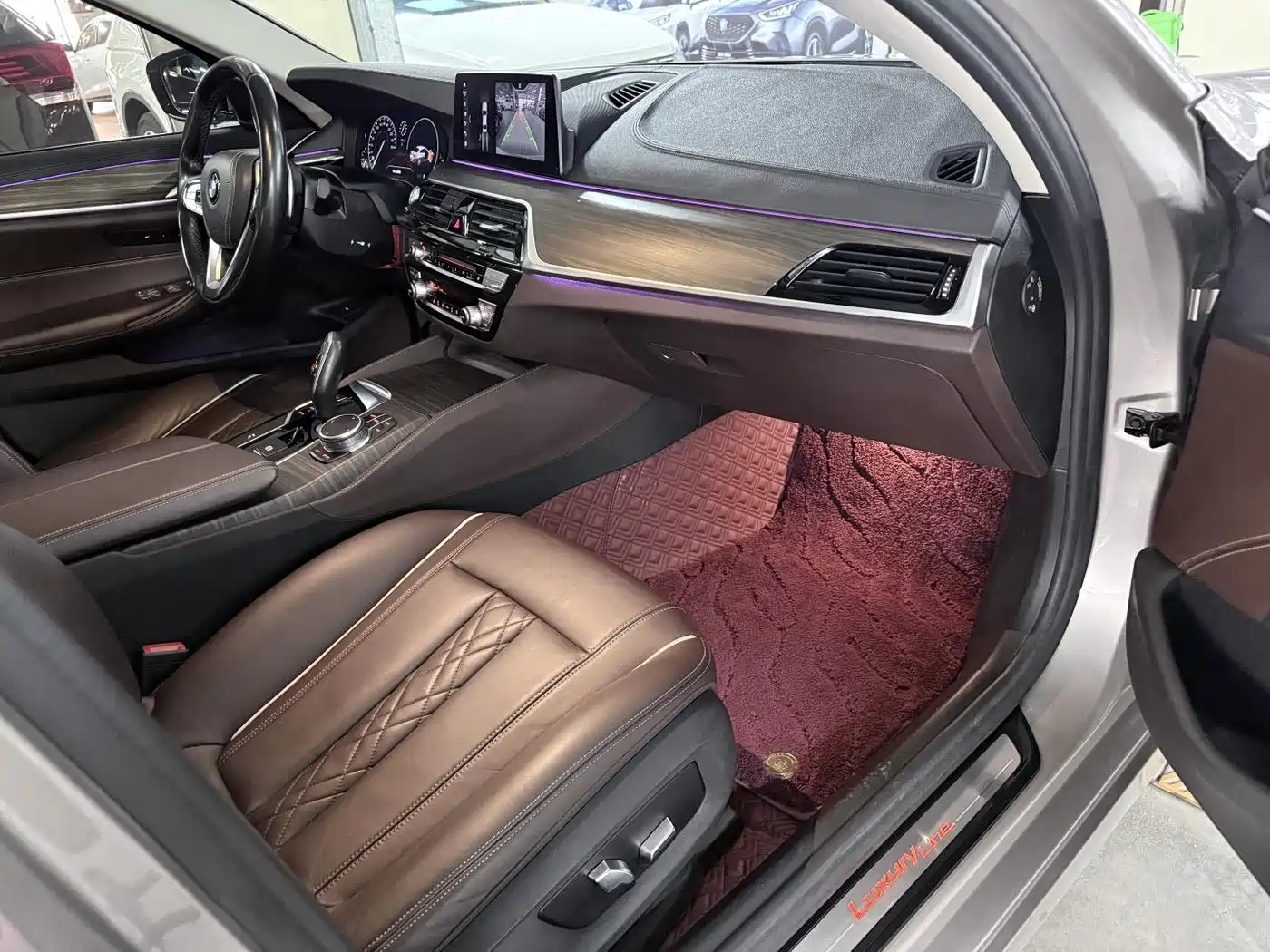 BMW 5 Series 2019 530Li Leading Luxury Package фото 20