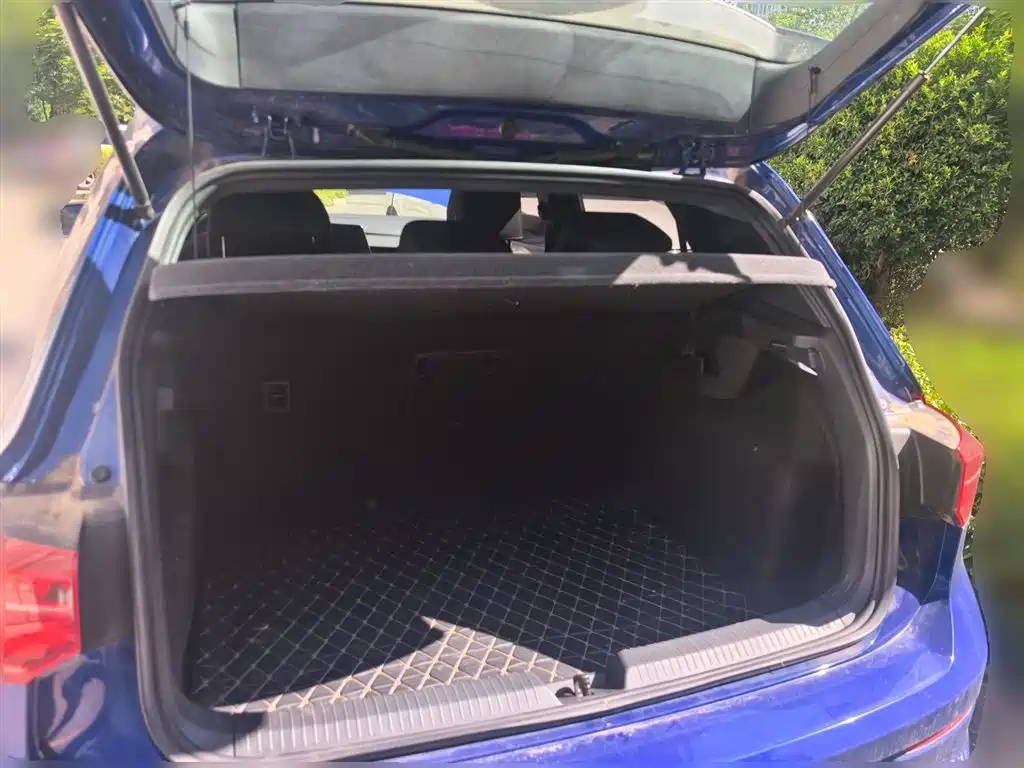 Volkswagen Golf 2021 280TSI DSG R-Line фото 16
