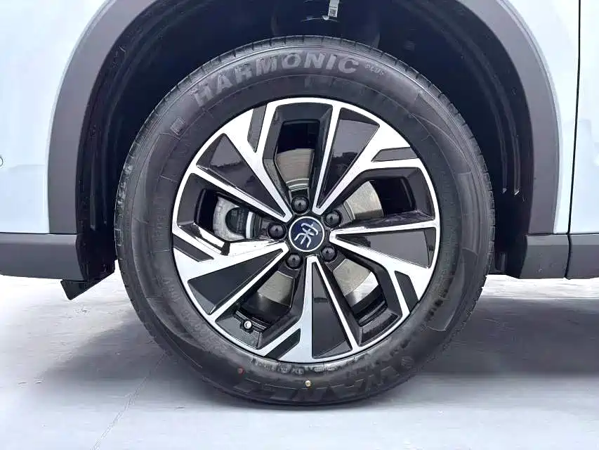 BYD SONGJIANG NEW ENERGY