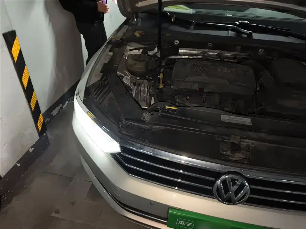 Volkswagen Magotan 2017 330TSI DSG Luxury фото 21